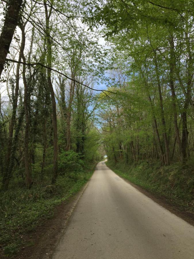 Belvès-de-Castillon Chez Henri B&B 외부 사진
